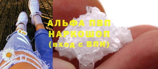 сатива Алексин