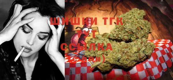 прущие грибы Алзамай