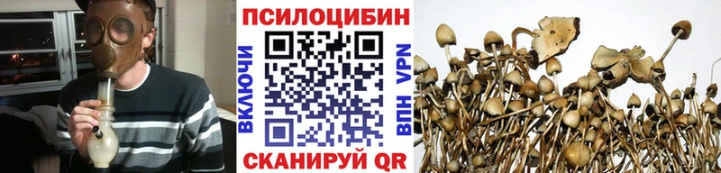 цены наркотик Бобров ссылка на мегу сайт Галлюциногенные грибы Cubensis